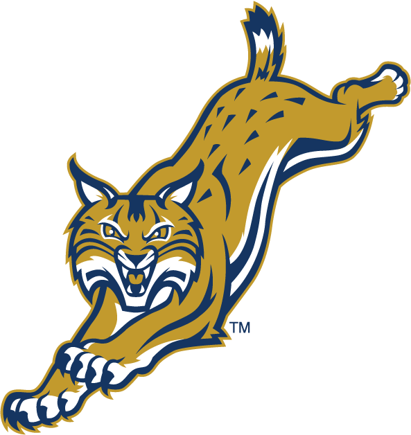 Quinnipiac Bobcats 2002-2018 Alternate Logo 06 iron on paper